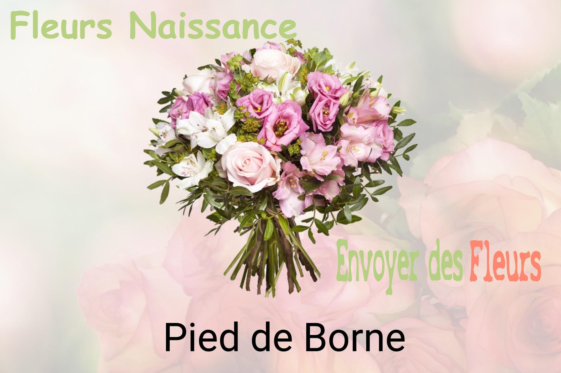 Bouquet de fleurs de naissance livré à Pied-de-Borne